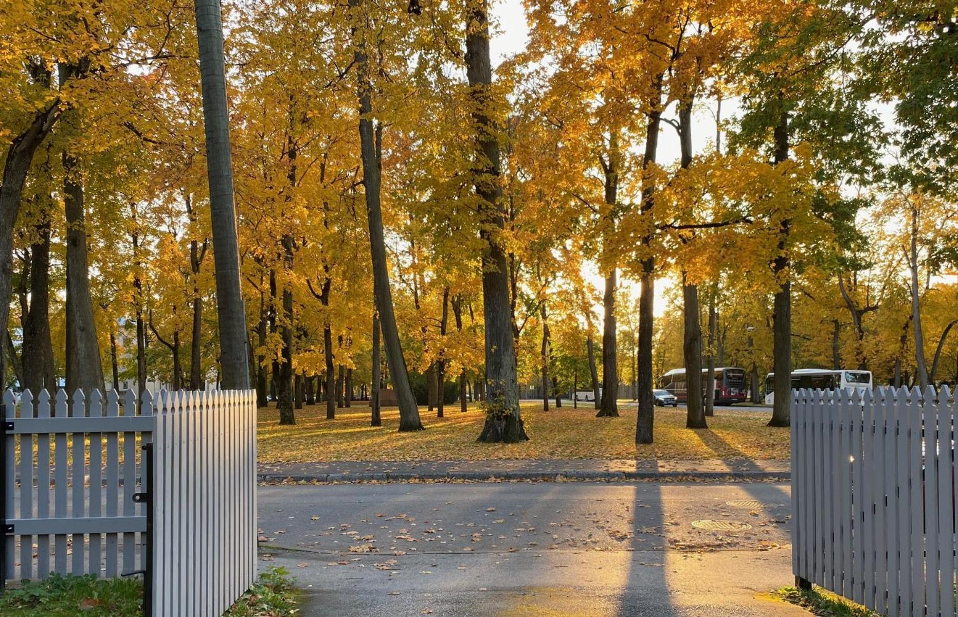 Vanapargi Apartments Pärnu Esterno foto